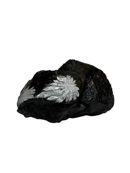 Chrysanthemum Stone