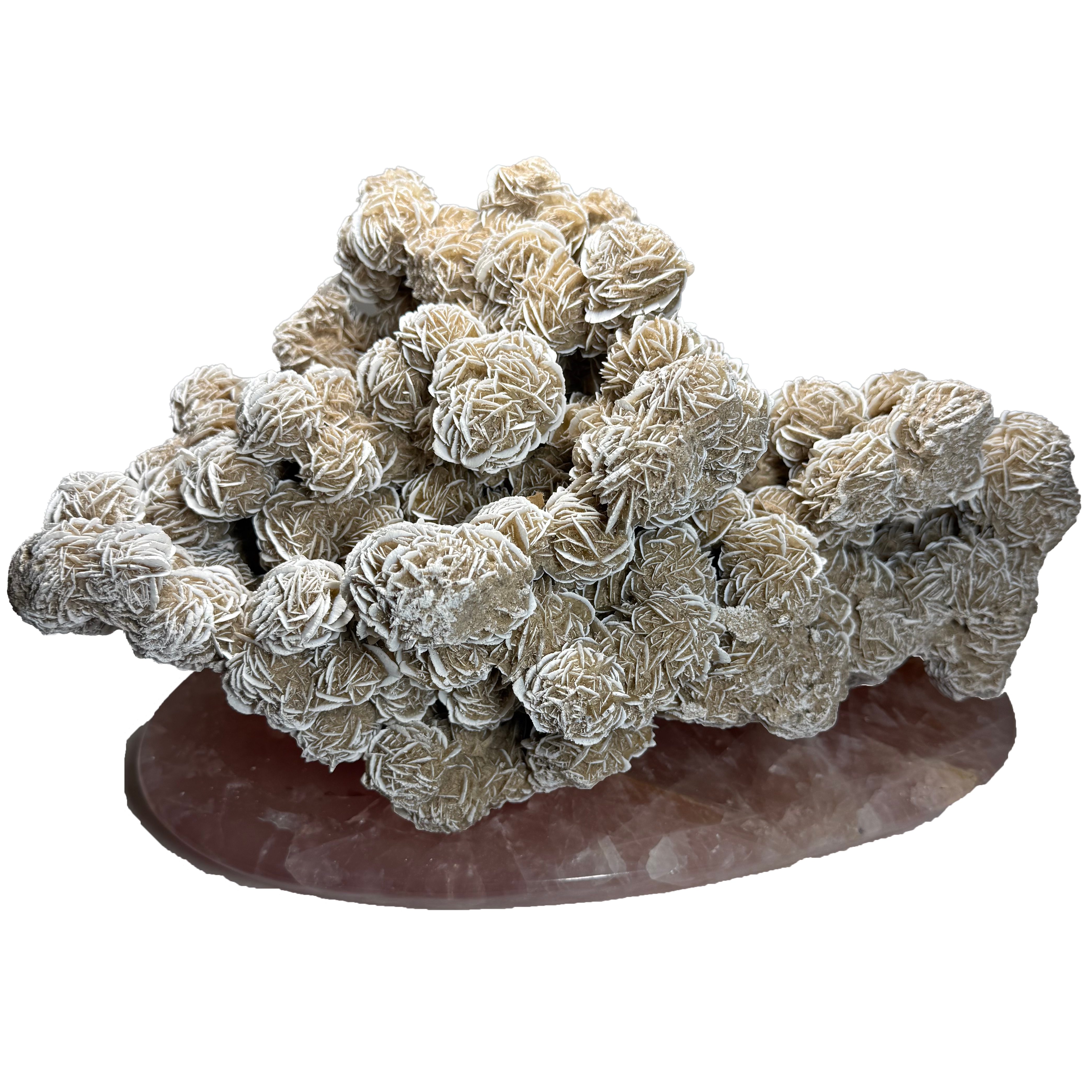 Gypse rose du désert sur base de quartz rose