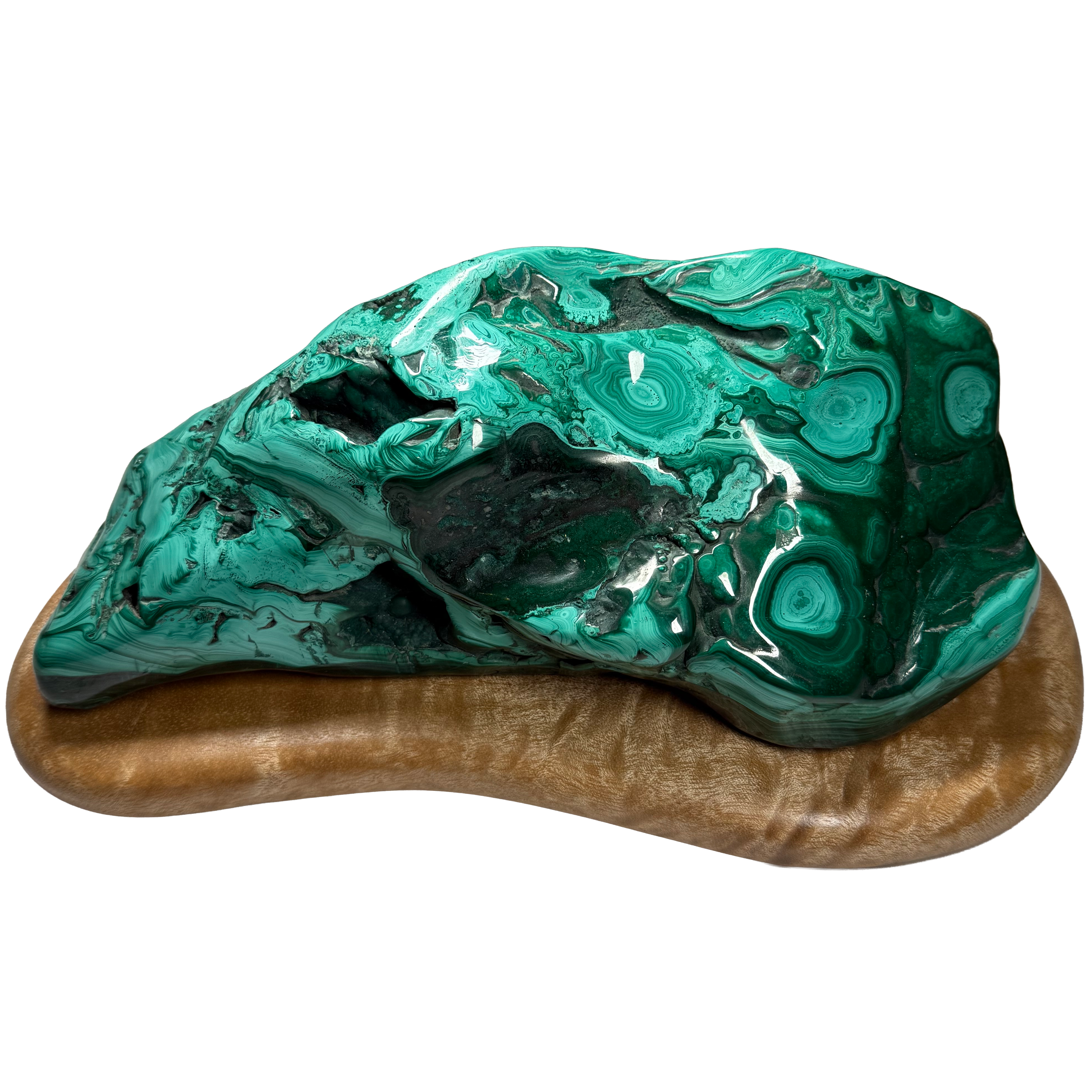 Malachite sur socle en érable du Queensland