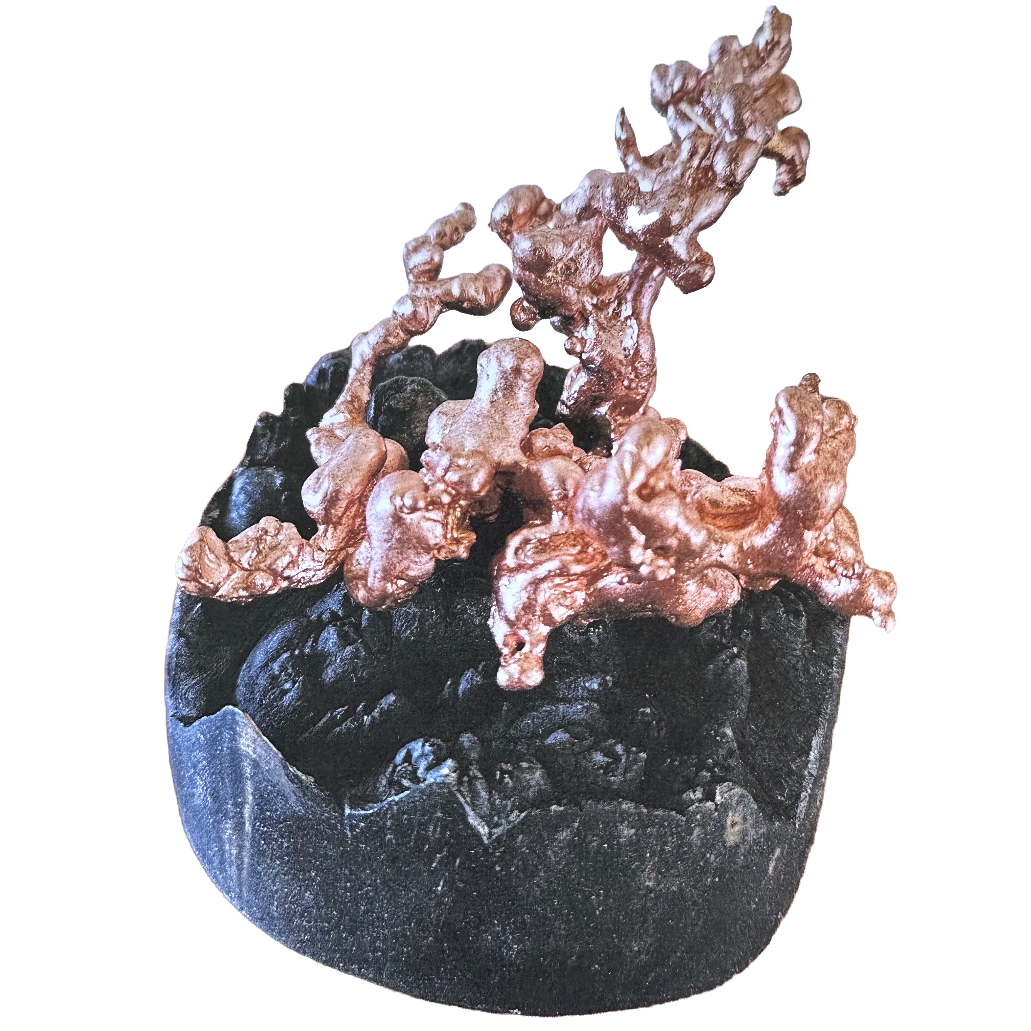 Cuivre sculpté sur socle en noix de tagua