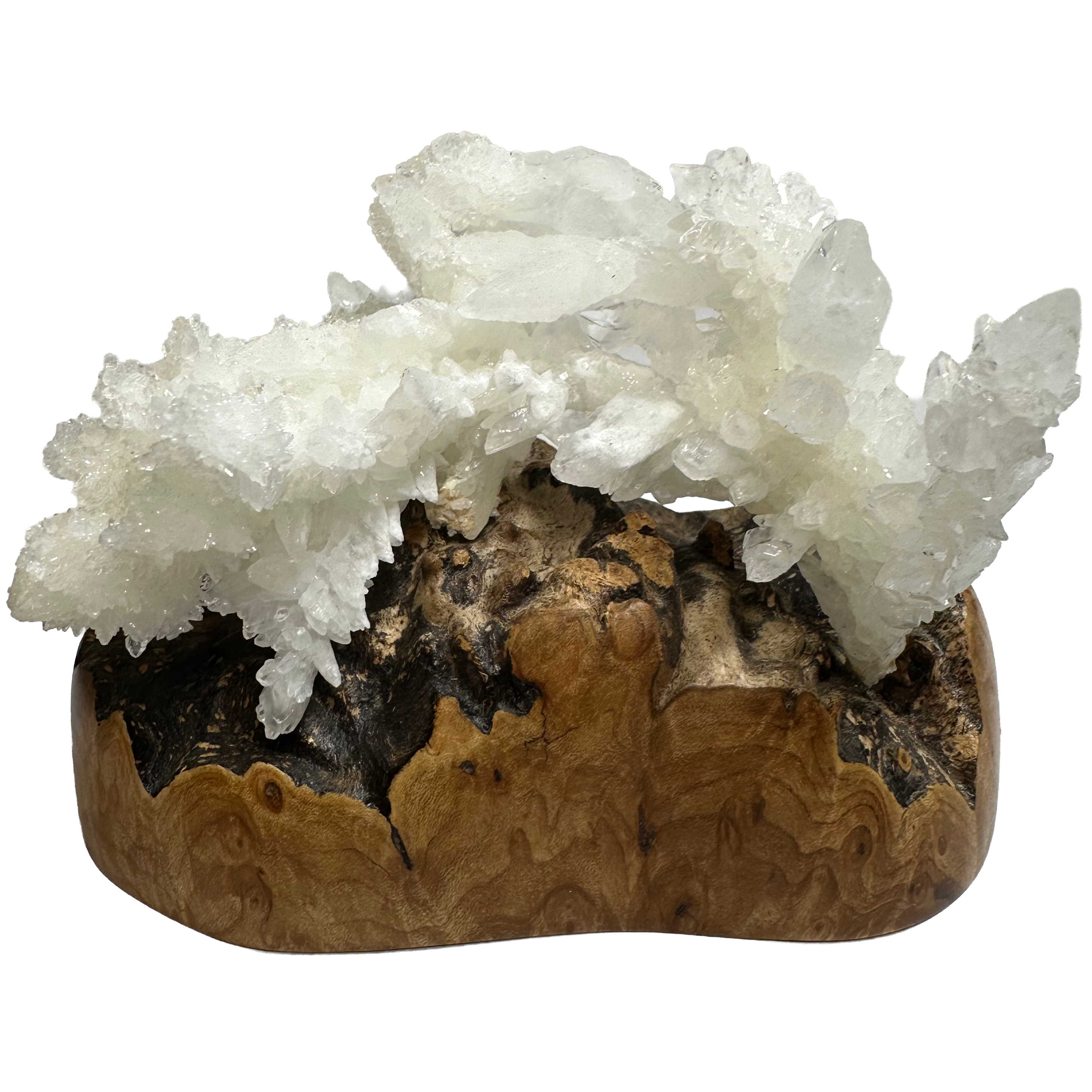 Flocon de calcite sur socle en loupe de bois