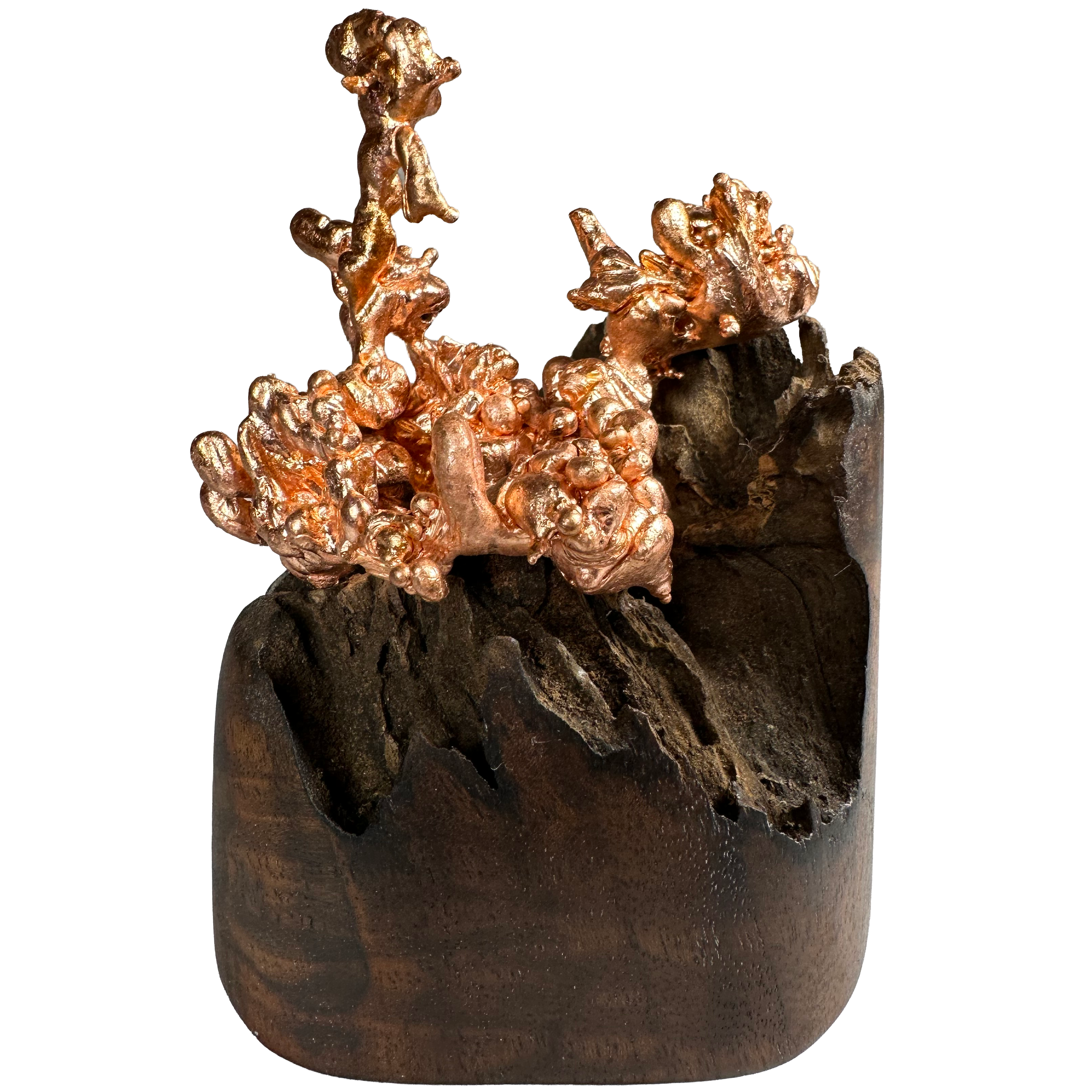 Cuivre sculpté sur socle en noix de tagua