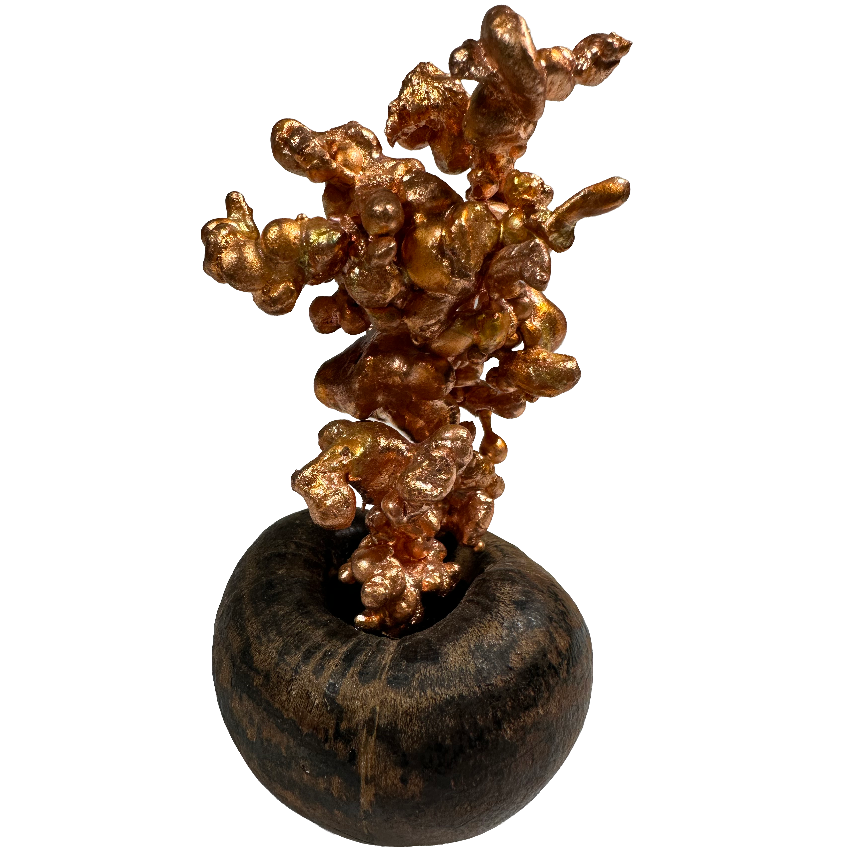 Cuivre sculpté sur socle en noix de tagua