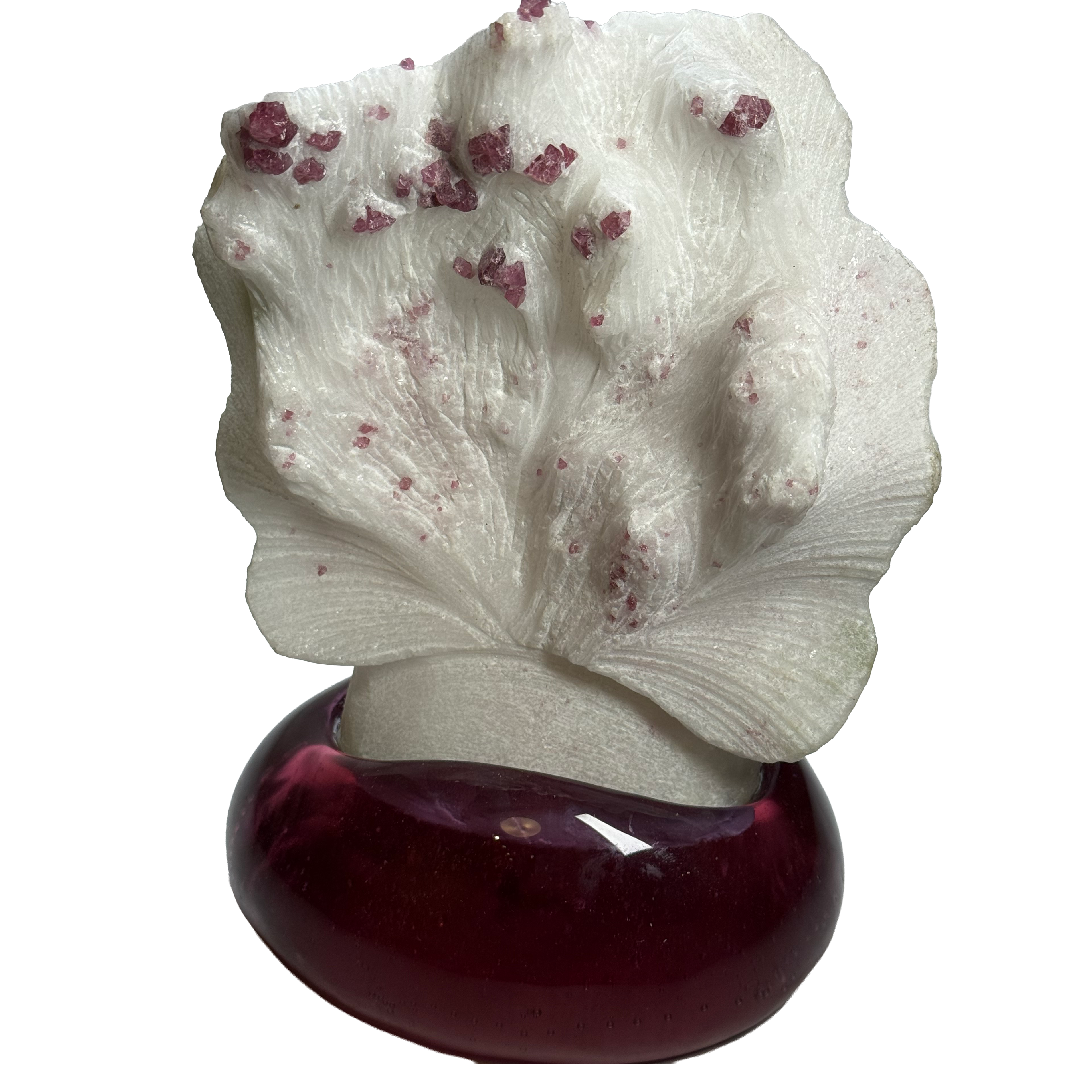 Spinel Fan on Fuchsia