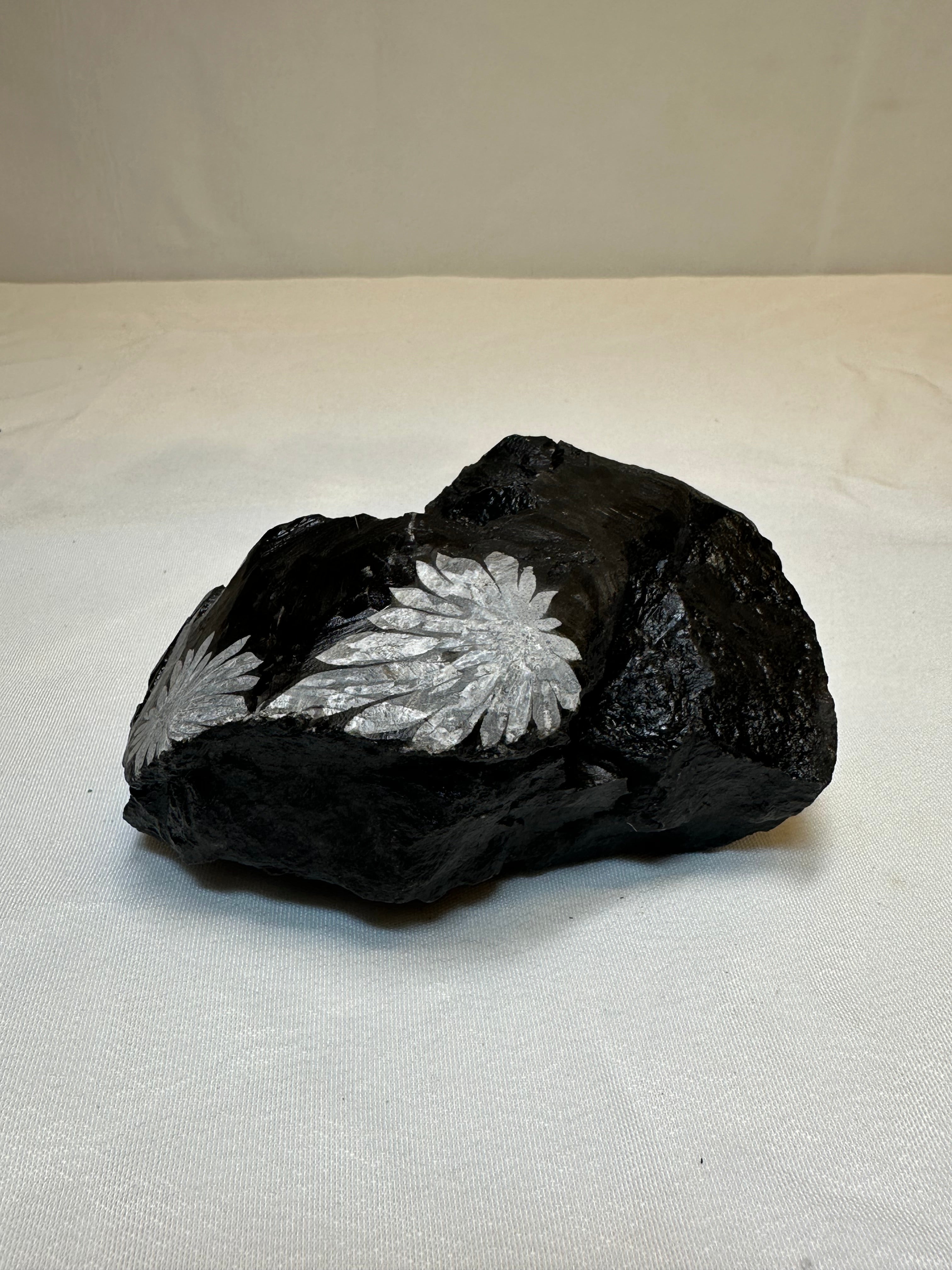 Chrysanthemum Stone