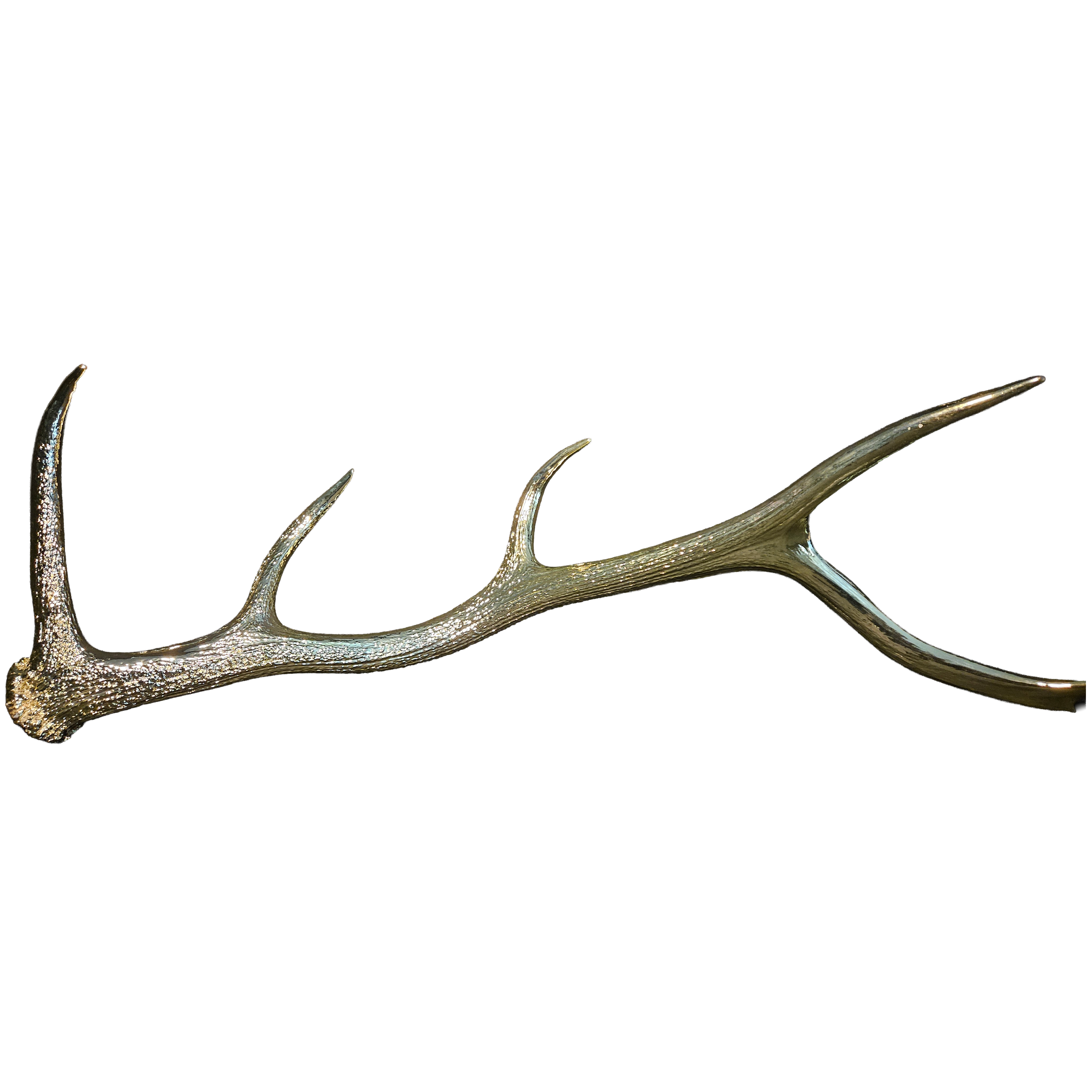 Yellow-Gold Chromed 5-point Antler