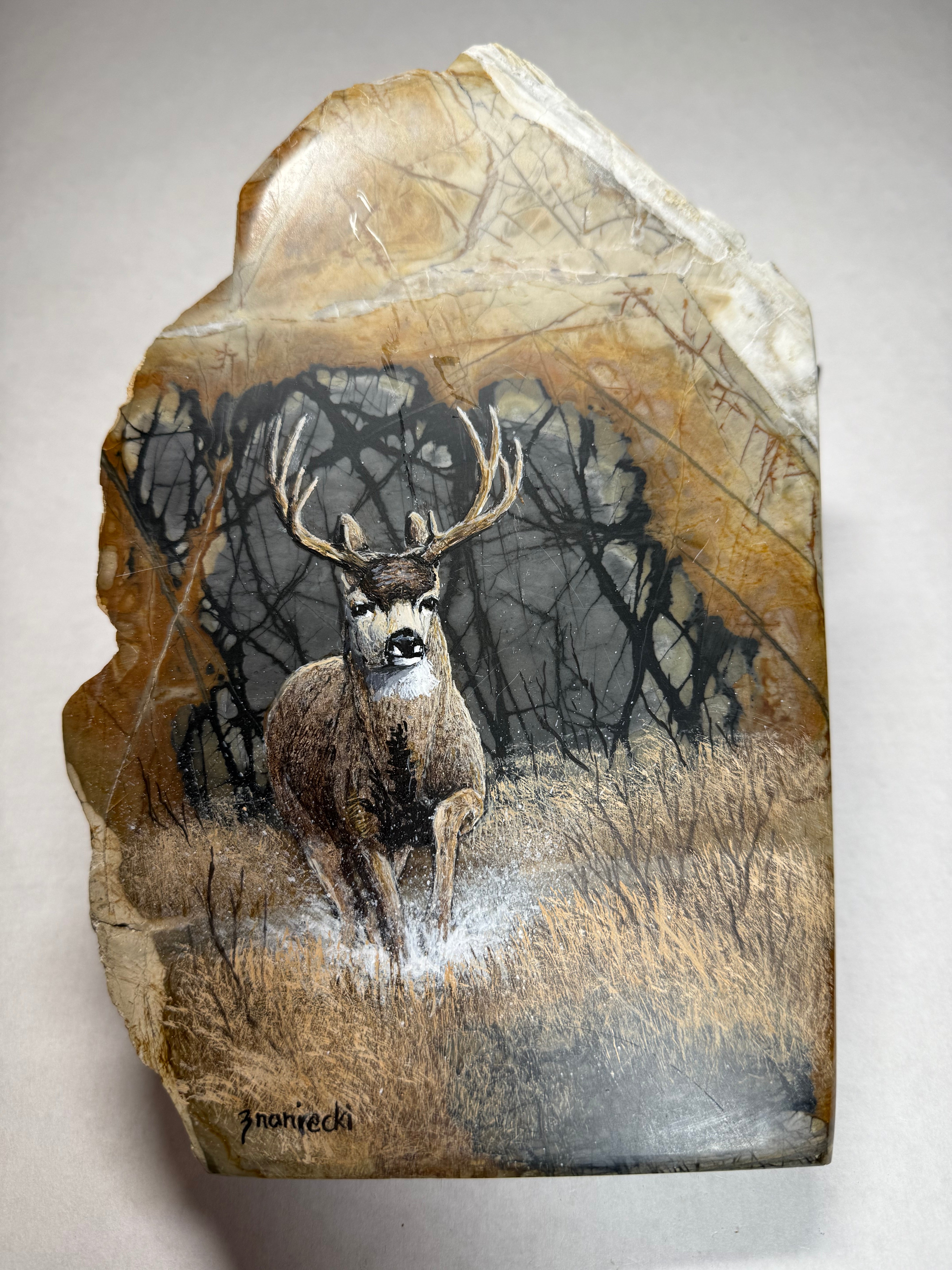 Mule Deer Painting on Jasper by Anton J. Znaniecki