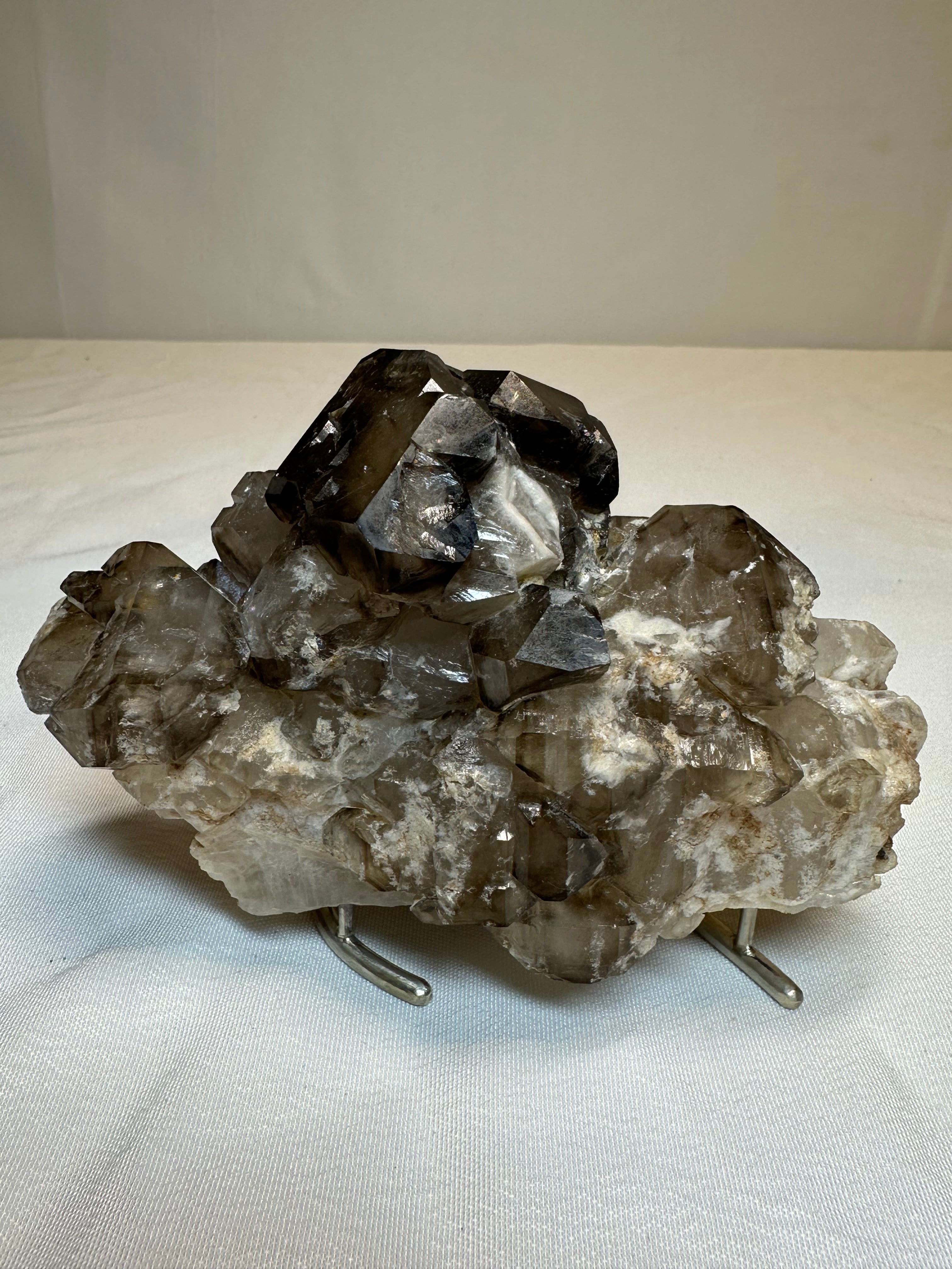 Alligator Quartz w/stand