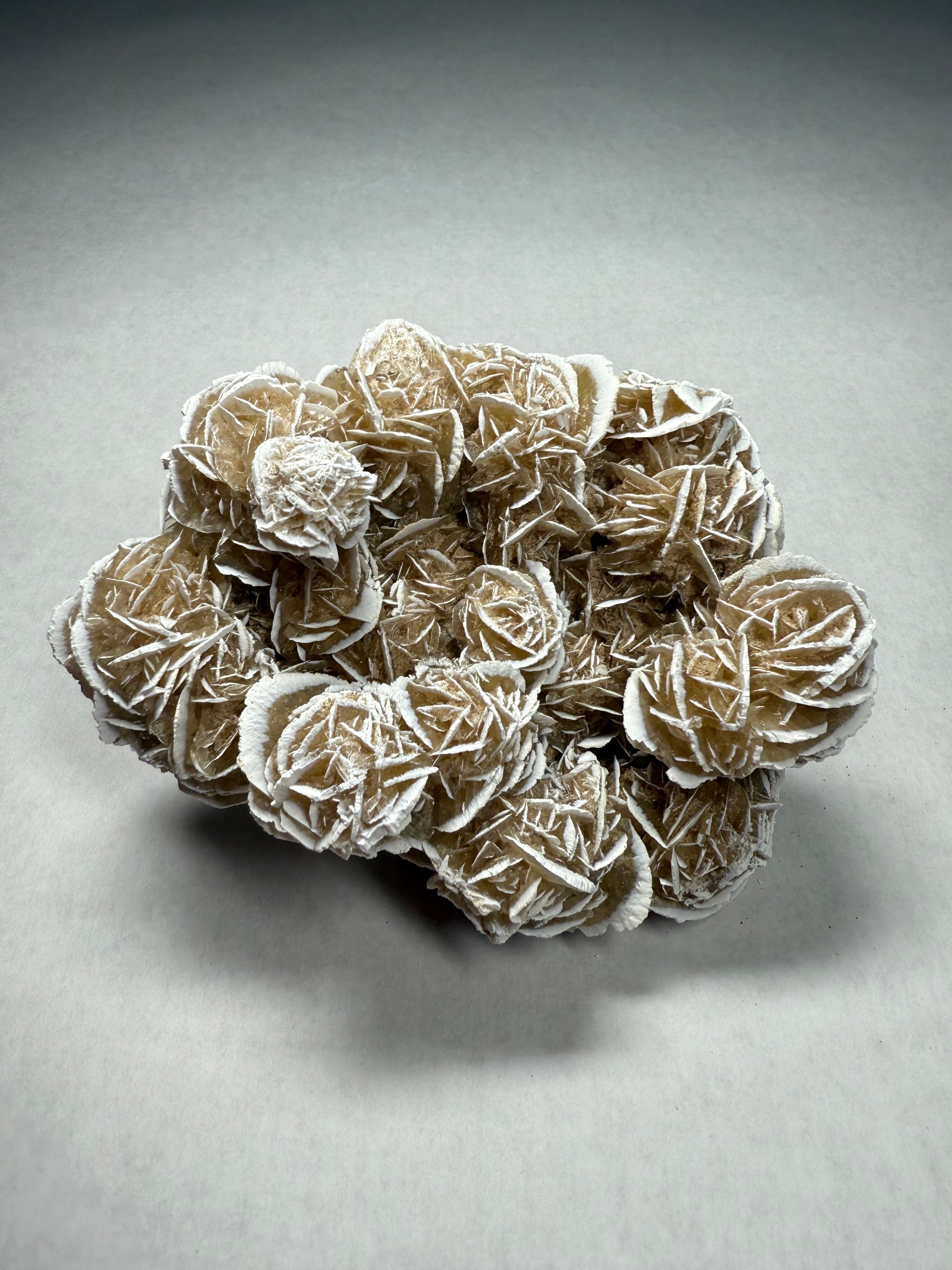 Desert Rose (Gypsum)