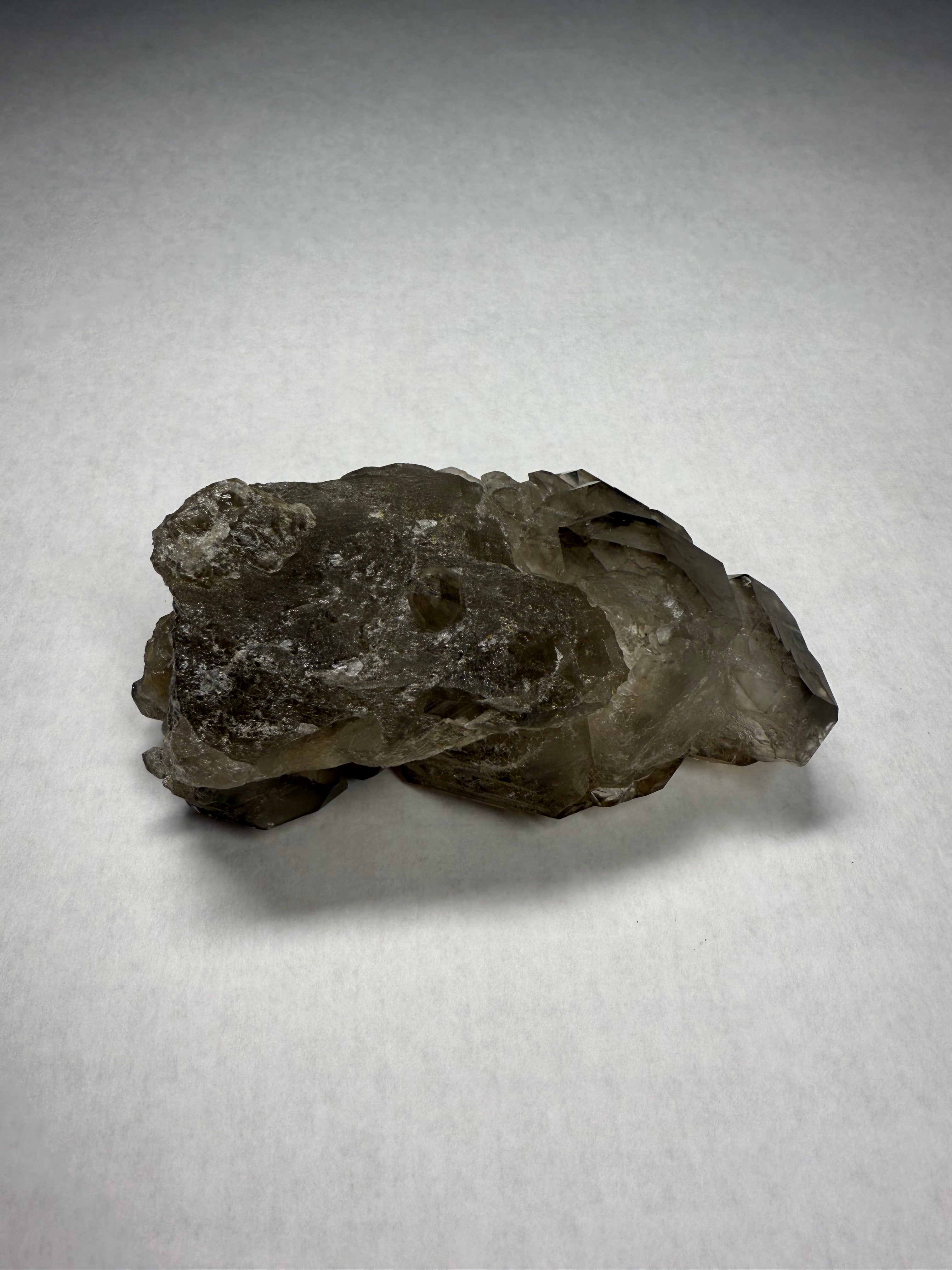 Alligator (Skeletal) Quartz