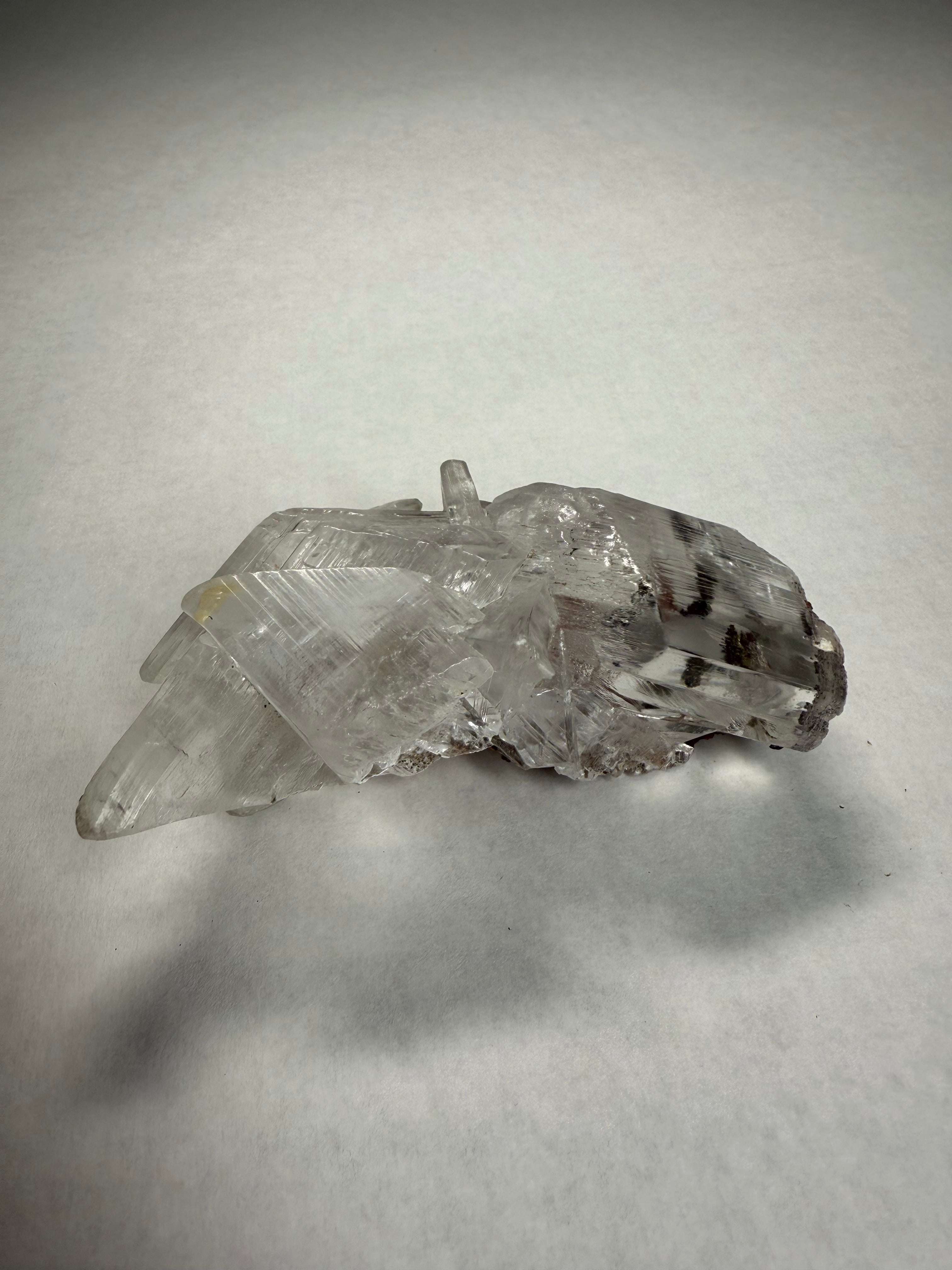 Selenite (Chihuahua Mexico)