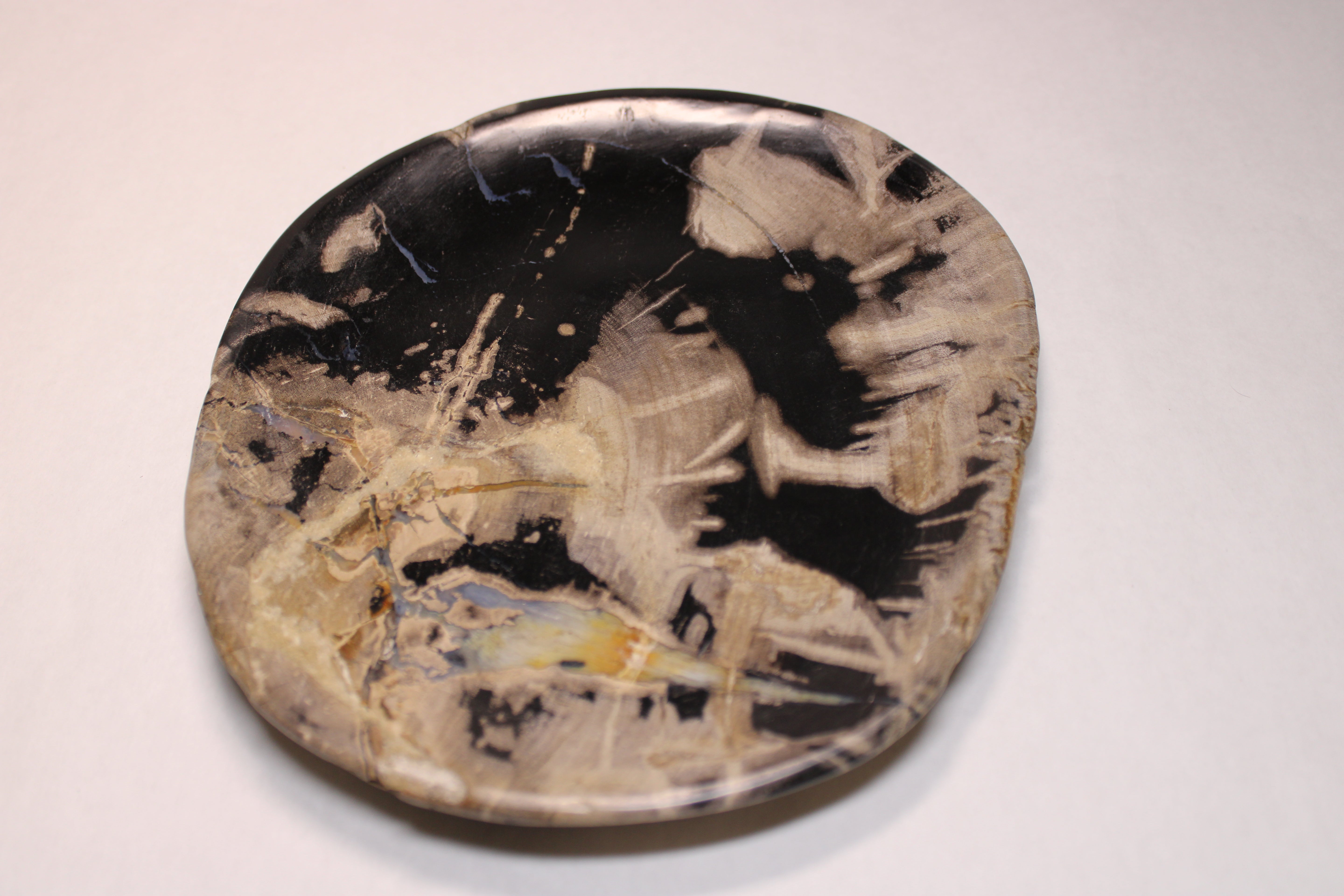 Petrified Wood Tray (Madagascar)
