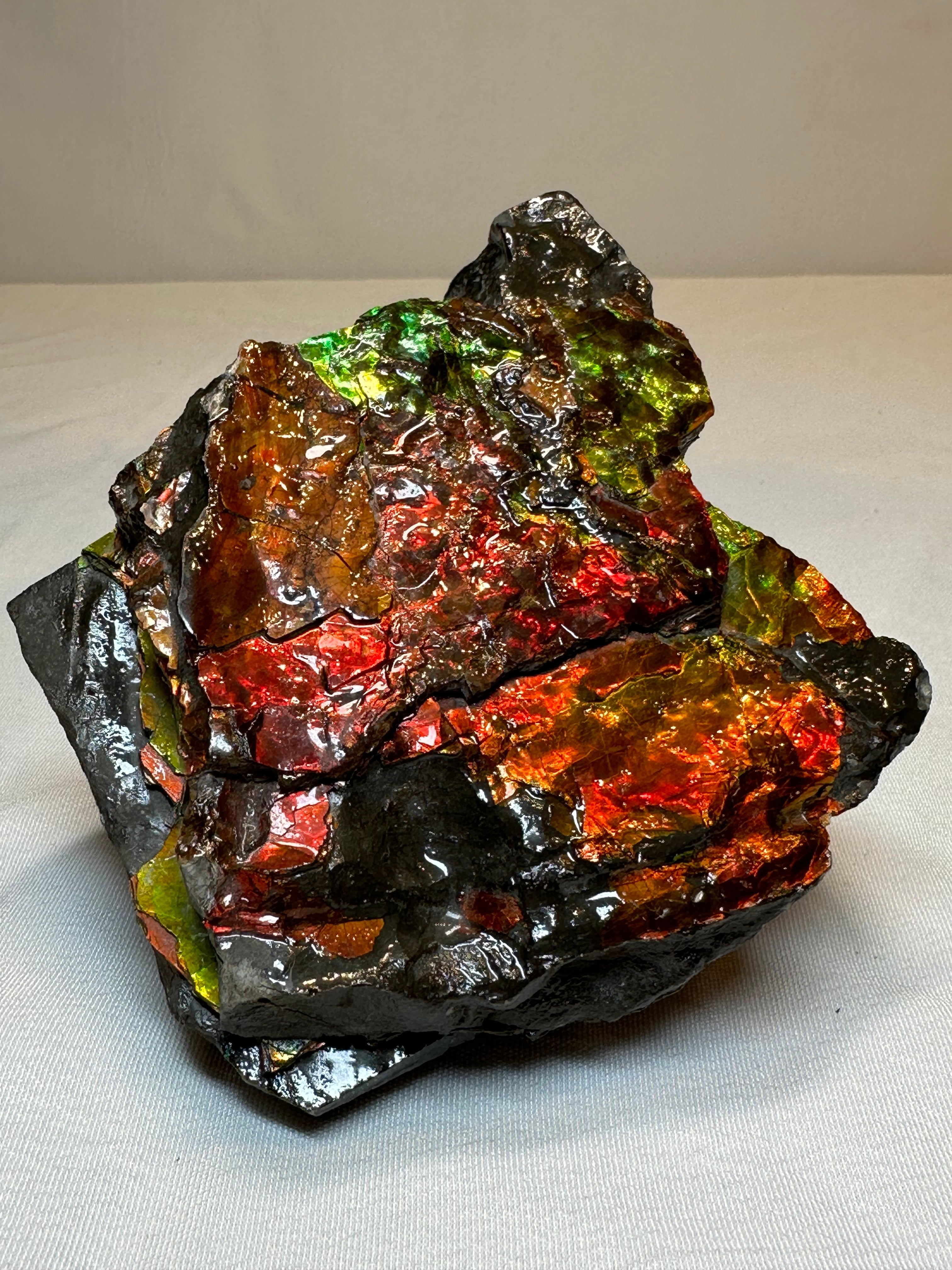 Ammolite in Matrix