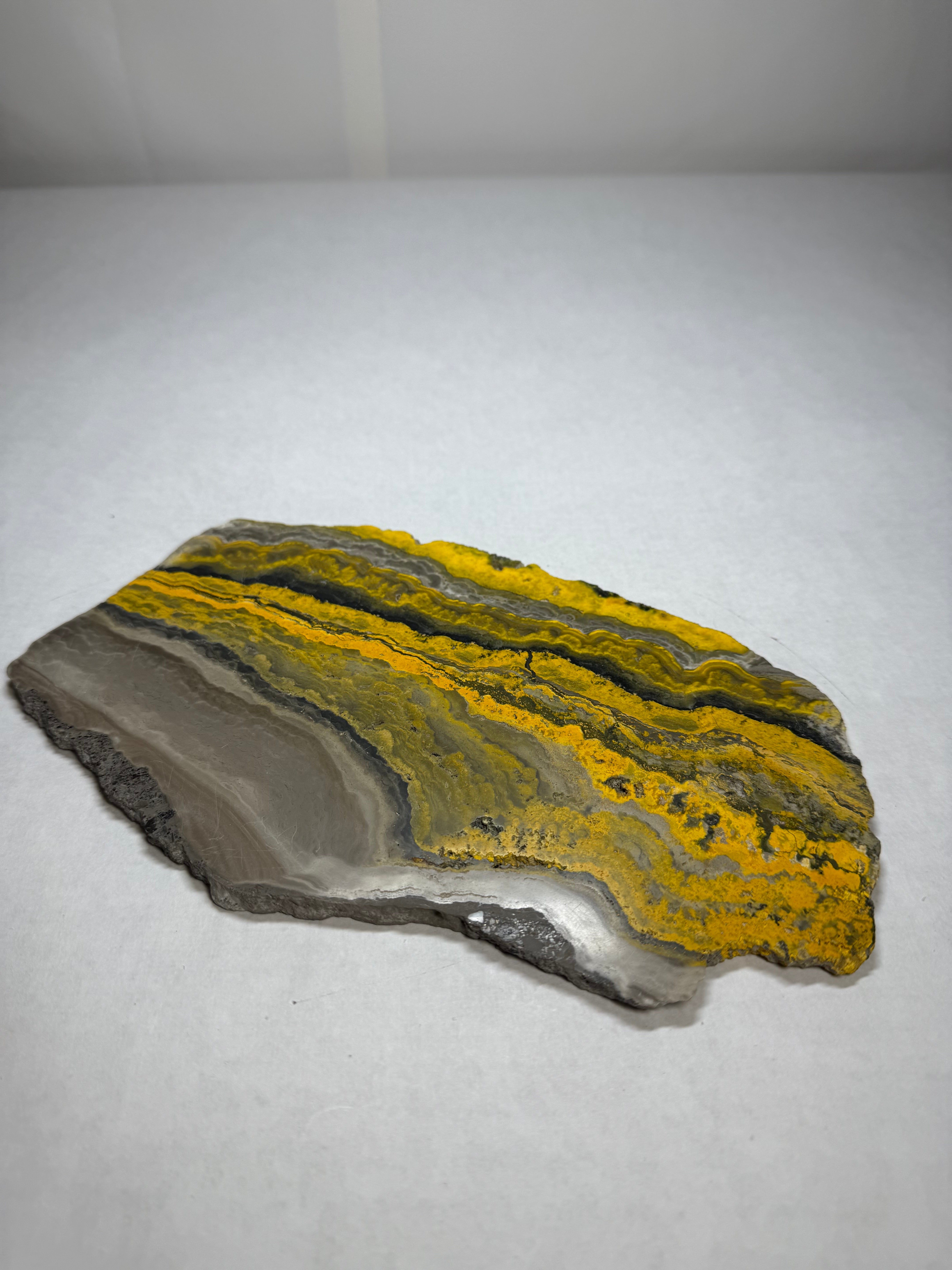 Bumblebee Jasper Slab