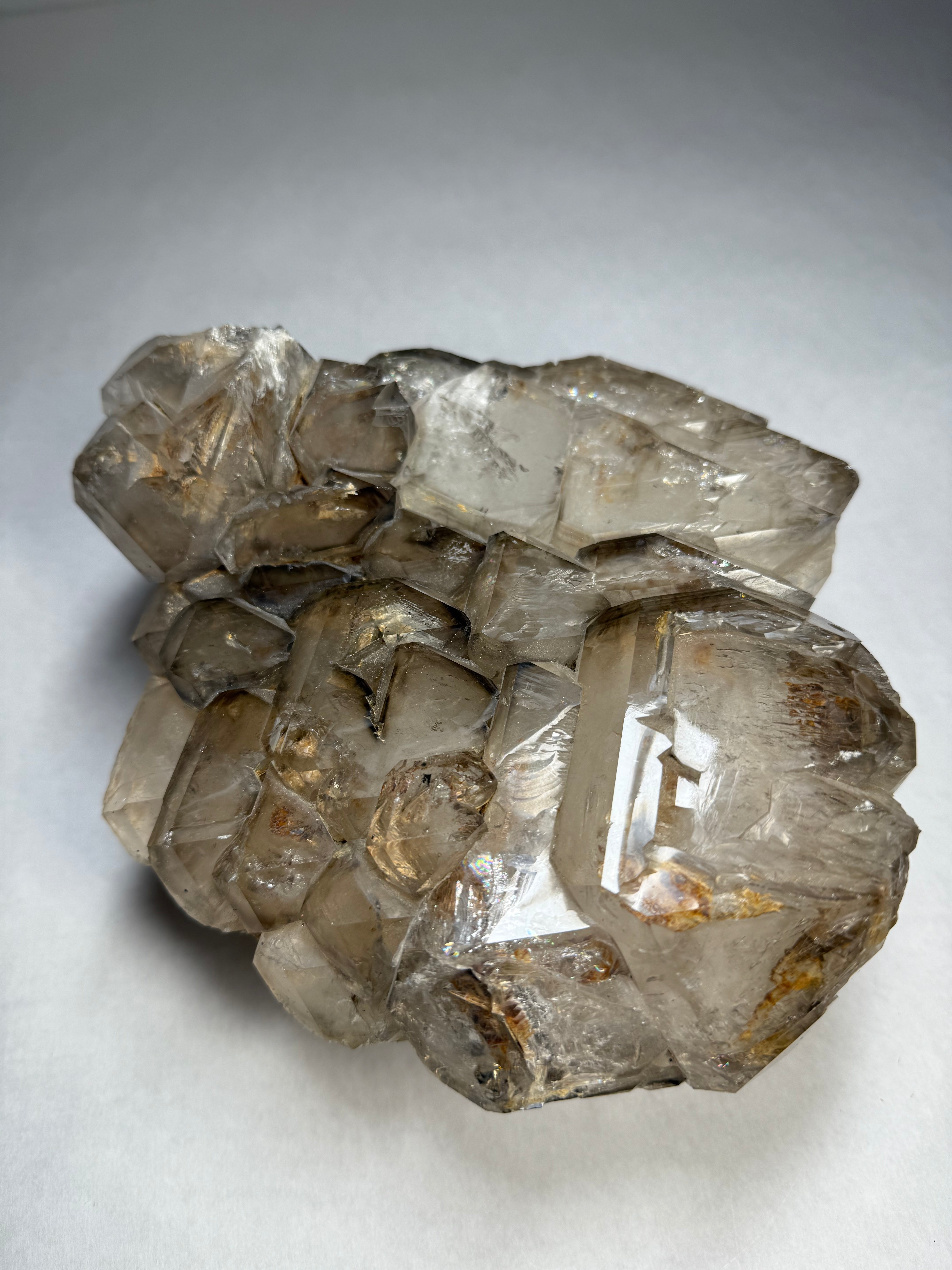 Alligator Quartz