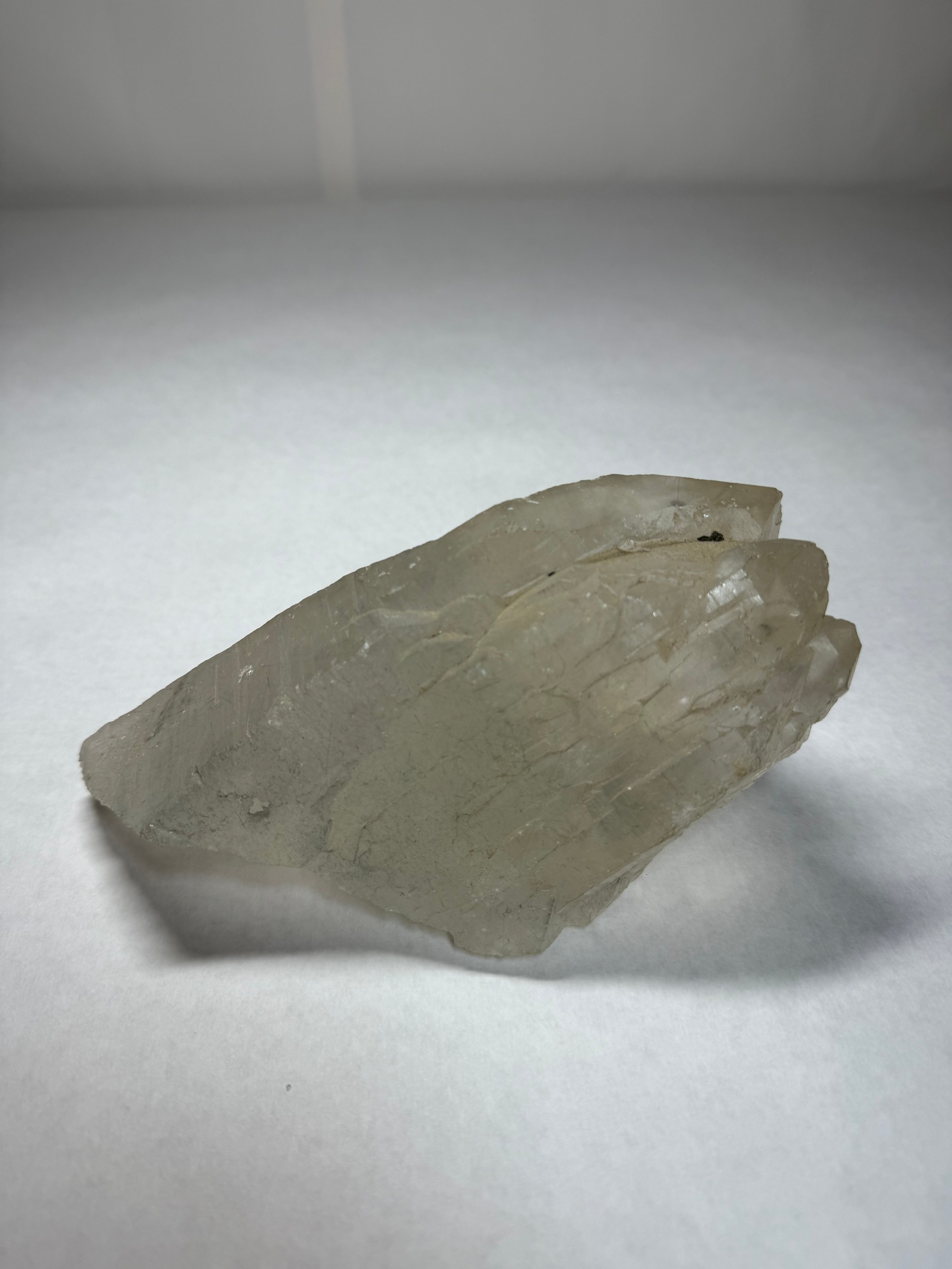 Alligator (Skeletal) Quartz